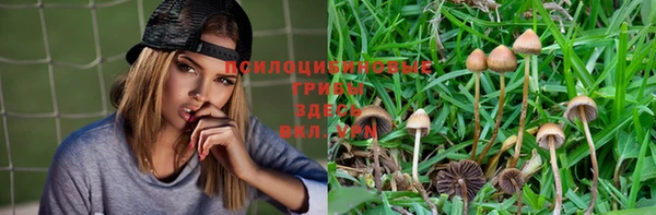дурь Абинск