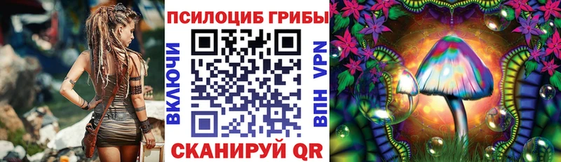 Псилоцибиновые грибы Cubensis  сколько стоит  Черепаново 