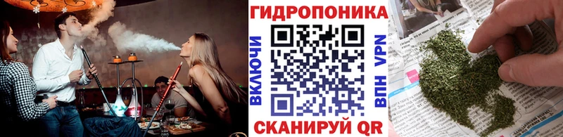 Шишки марихуана планчик Черепаново